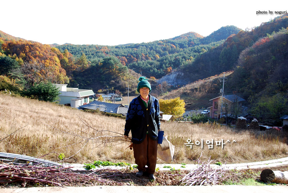 충북 단양 솔고개마을 옥이 엄마^^