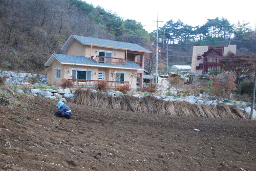 사용자 삽입 이미지