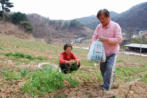 사용자 삽입 이미지