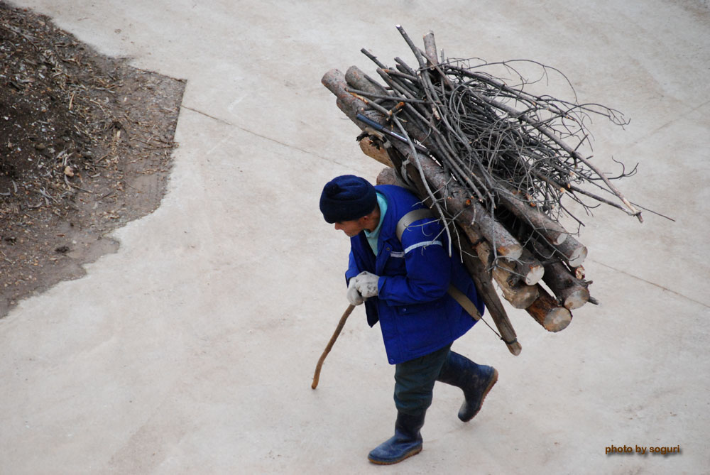 충북 단양군 적성면 기동리 솔고개마을 농부(農夫)의 장작 지게 