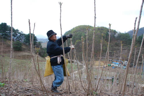 사용자 삽입 이미지