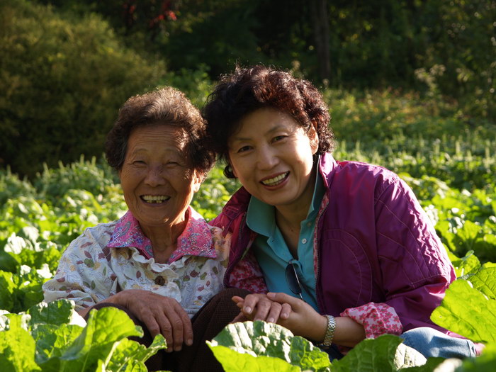 사용자 삽입 이미지