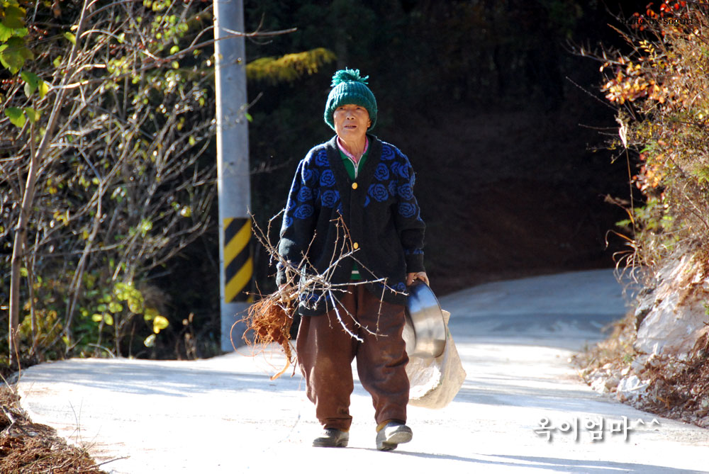 충북 단양 뒷목재 학운산방 가는 길 옥이엄마^^