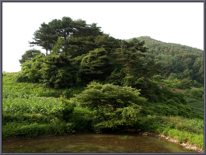 사용자 삽입 이미지