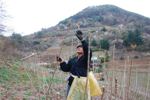 사용자 삽입 이미지