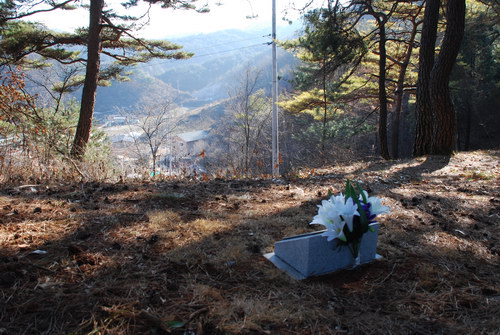 사용자 삽입 이미지