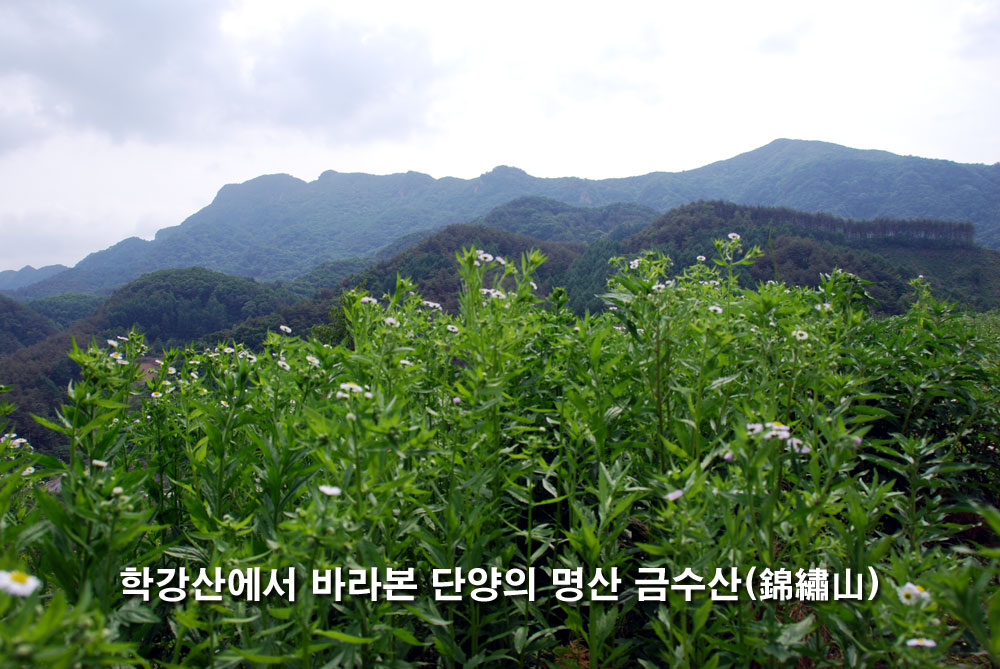 학강산에서 바라본 단양의 명산 금수산(錦繡山) - 해발 1,016M