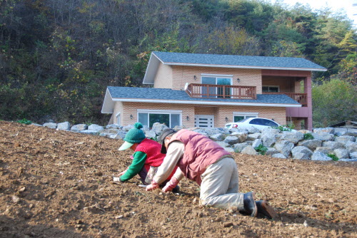 사용자 삽입 이미지