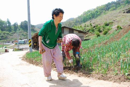 사용자 삽입 이미지