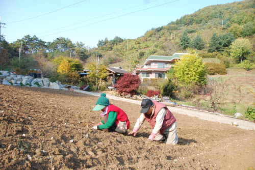 사용자 삽입 이미지