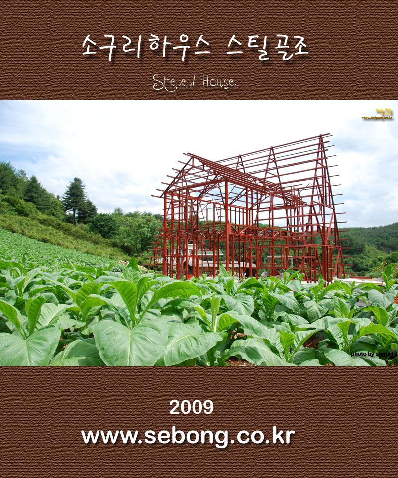 단양 스틸하우스 복층 전원주택 소구리하우스 형강골조(Steel Truss) 