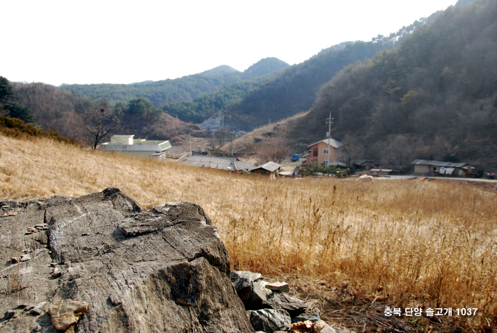 충북 단양 솔고개 1037번지